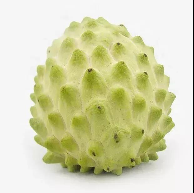 这种像似佛头的水果被誉为“世界上抗癌效果最佳的水果”