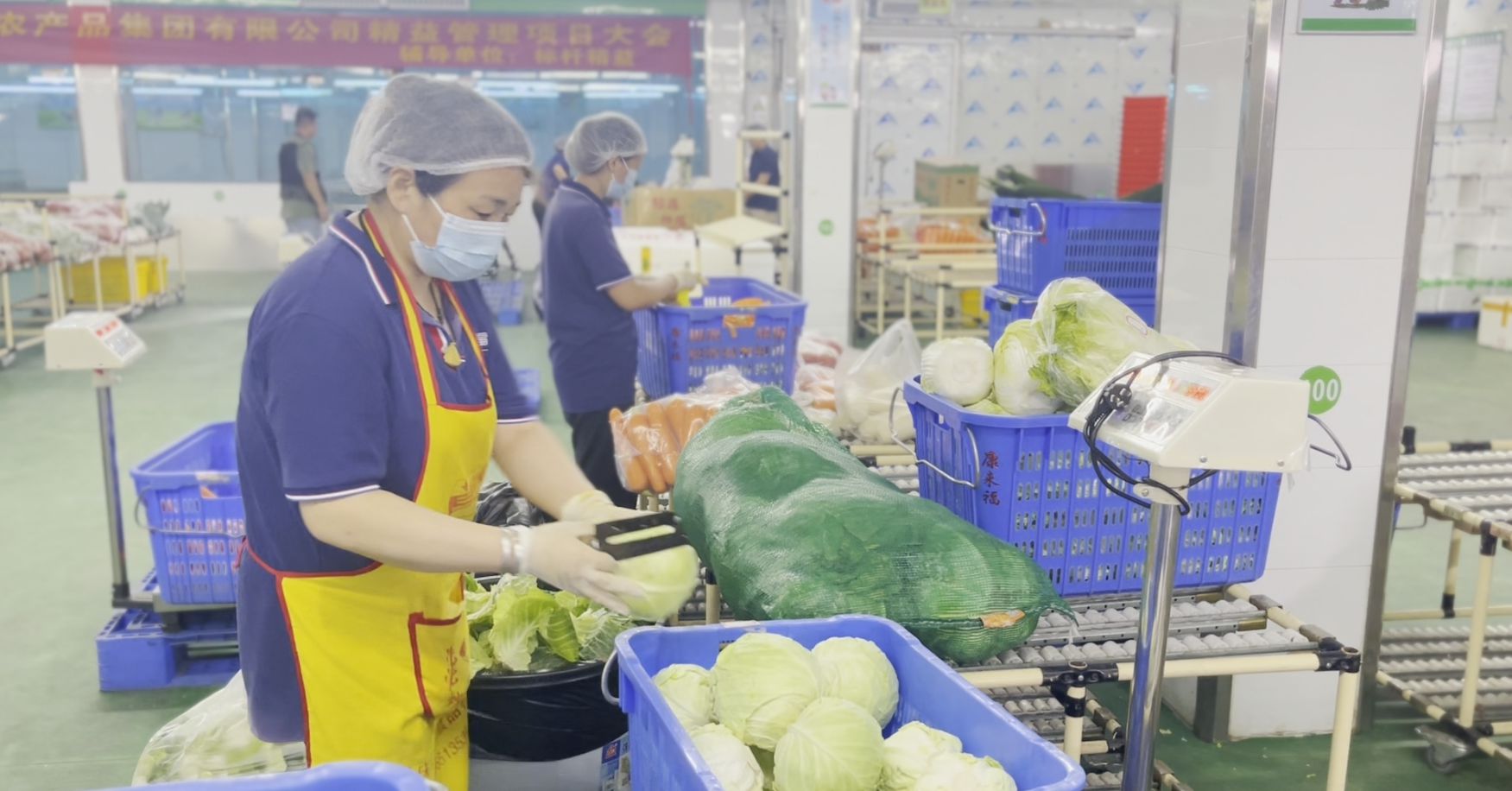 食材分拣流程