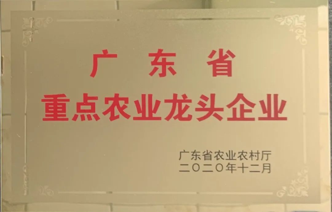 省龙称号