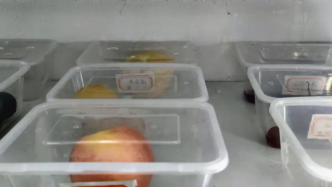 食堂饭菜出现异味，如何快速确定问题来源   