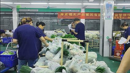优化食堂蔬菜配送，解决服务、质量和价格问题